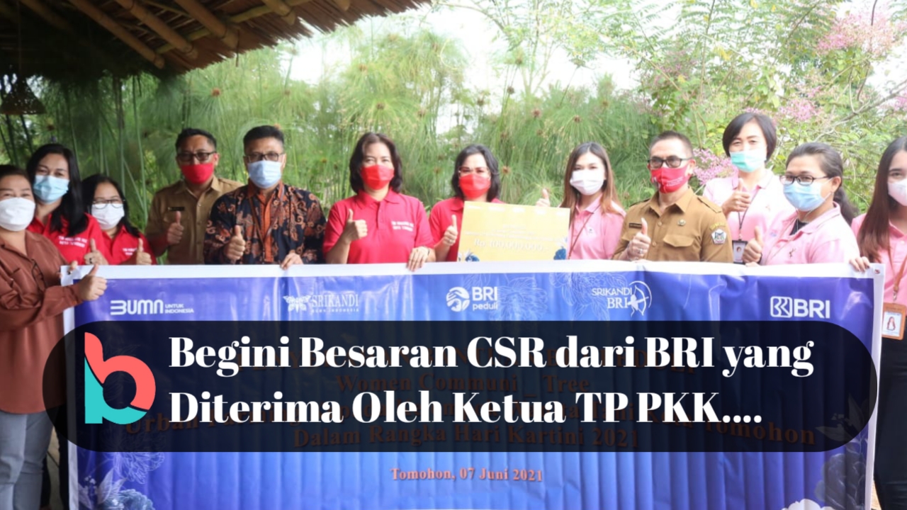 Dongkrak Kelompok Usaha Wanita, CSR BRI Peduli Diterima Ketua TP PKK
